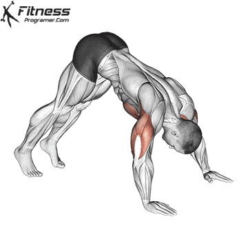 Pike Pushups: Shoulder strength and the Path to Handstand